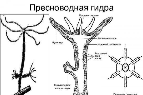 Как вывести деньги с kraken